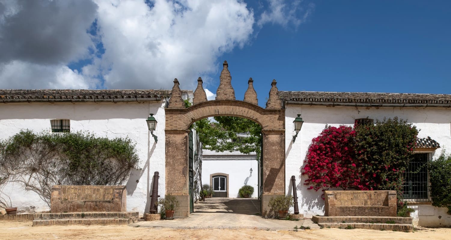 bodegas-gongora-2